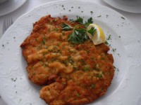 Schnitzeltag