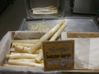 SPARGEL von HIER