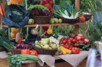 4. Kulinarisches Sommerfest
