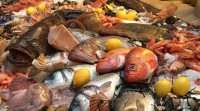 14. bis 19.Februar 2017 – Meeresfrüchte - Woche