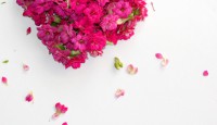 14.Februar 2017 – Valentinstag