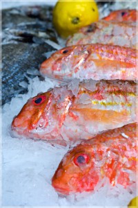 14.April 2017 – Karfreitag ist Fischtag