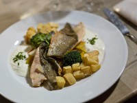 Fischsuppe & Co.