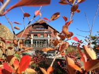 Aroniafest mit buntem Herbstmarkt