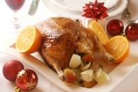 GANS GANZ LECKER …