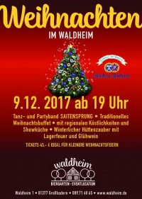 Weihnachten im Waldheim