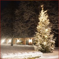 14. Hohenhäuser Weihnachtsmarkt