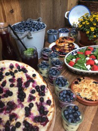 Heidelbeerbuffet