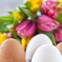Osterbrunch