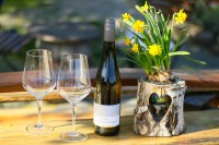 Weinprobe im Schäferberg - Frische Frühjahrsweine