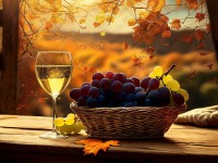 Weinprobe im Schäferberg - Herbst- & Winterweine