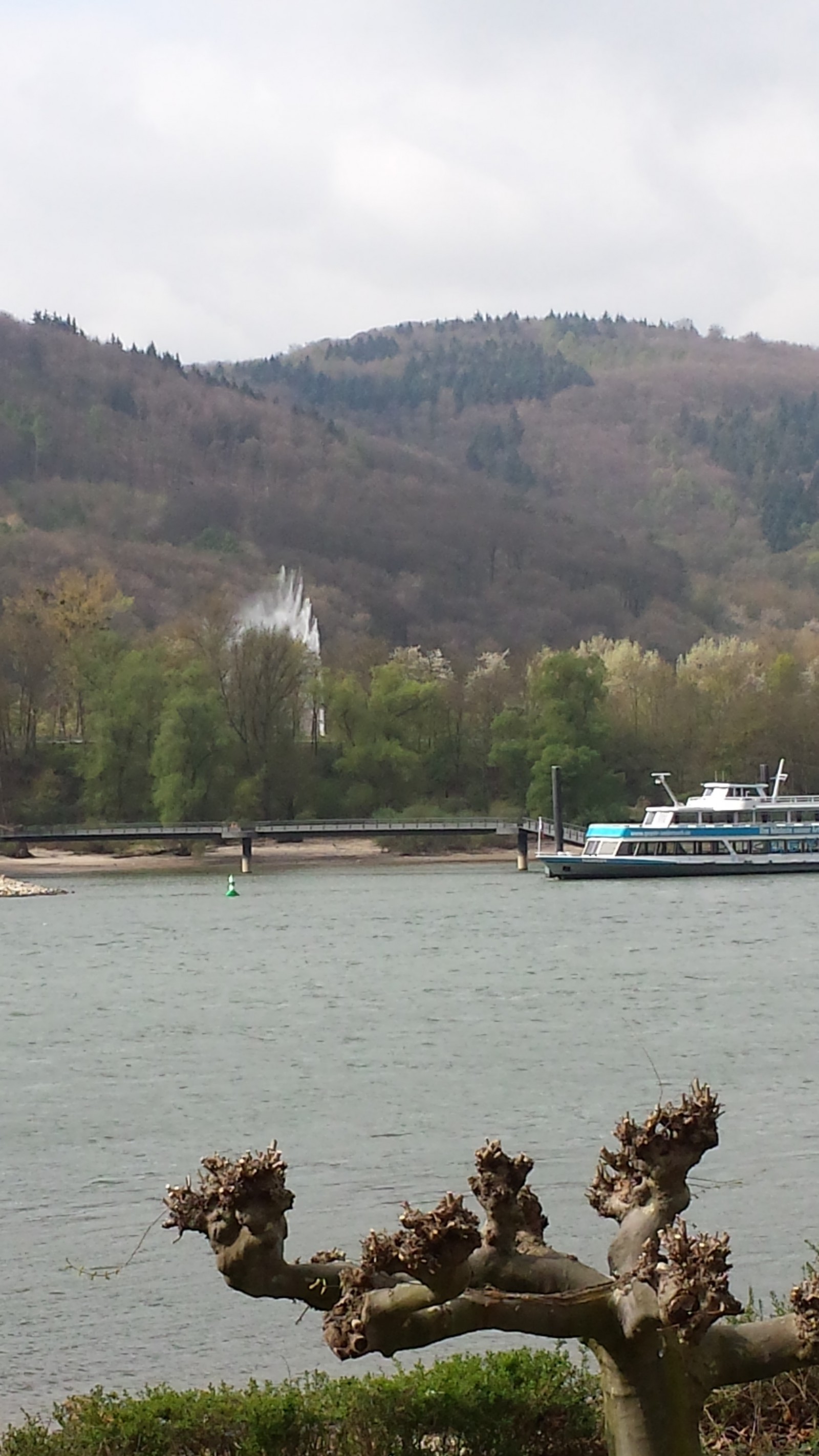 Hotel Restaurant Cafe Rheinecker Hof