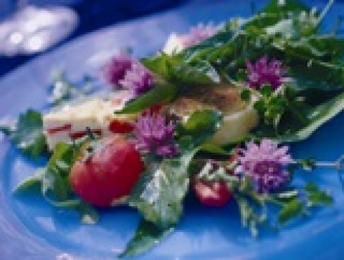 Sachs Restaurant & Weinlounge im Hotel Vier Jahreszeiten