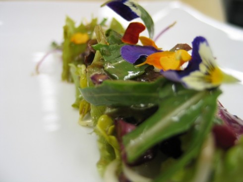Adler Hotel Restaurant Catering