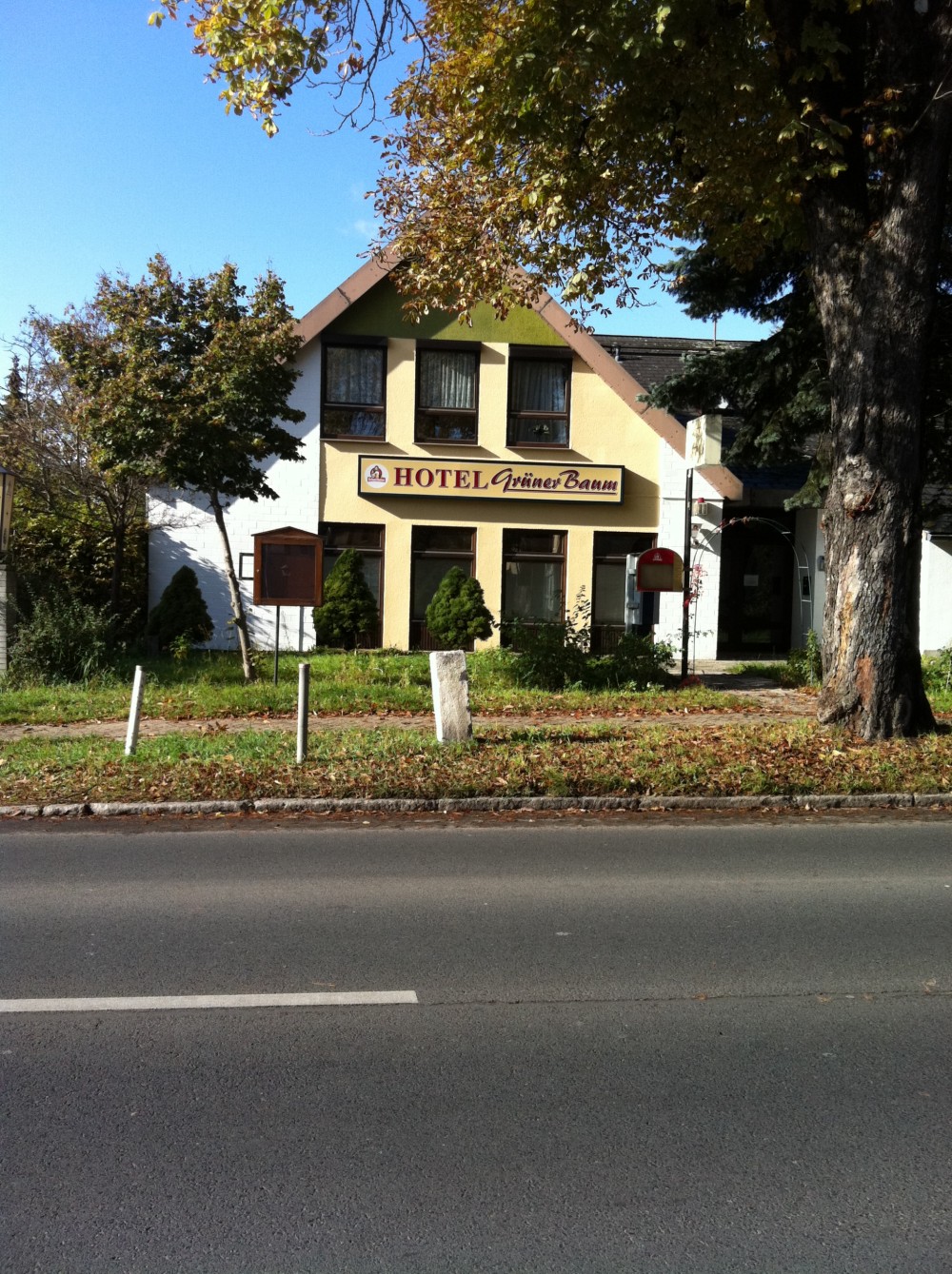 Hotel Grüner Baum 