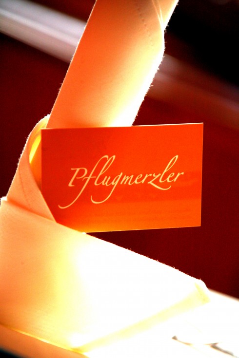 Pflugmerzler