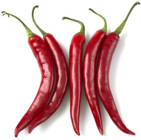 chili cantina e bar