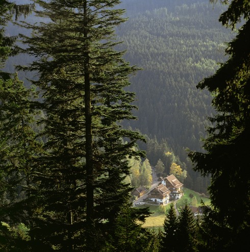 Forsthaus Auerhahn