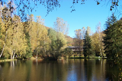 Land-gut-Hotel Forellenhof