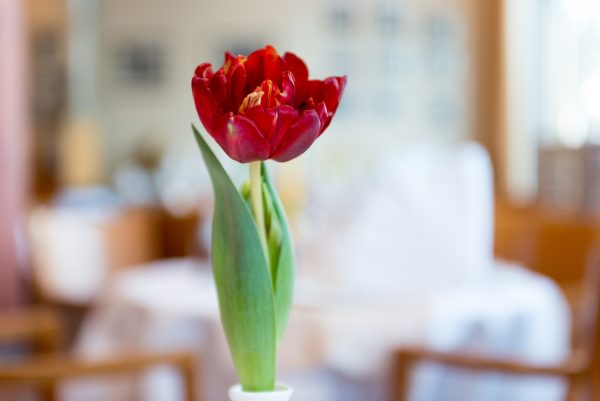 Restaurant 'STRAND12', Rostock