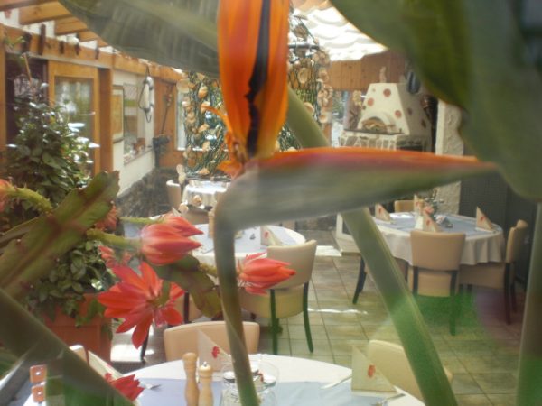 Restaurant Kastell, Sulz am Neckar