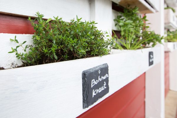 Paulsen´s Landhotel und Restaurant