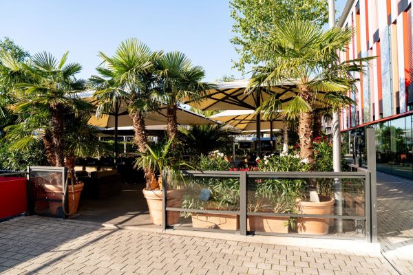 Palm Beach, Stuttgart