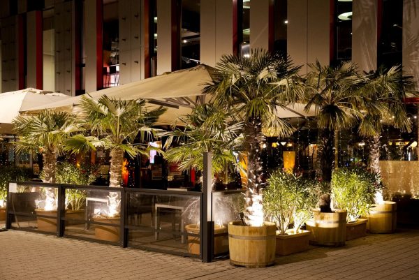 Palm Beach, Stuttgart