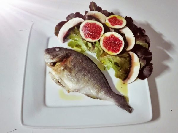 SABORES, Konstanz