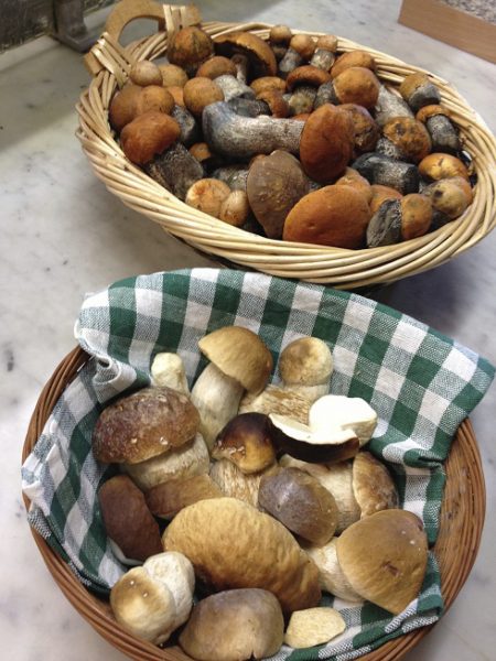 Antje´s Schmankerlrestaurant und Bergcafe Bauer