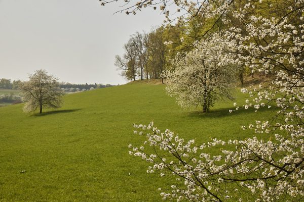 La Vallée Verte im Hotel Hohenhaus