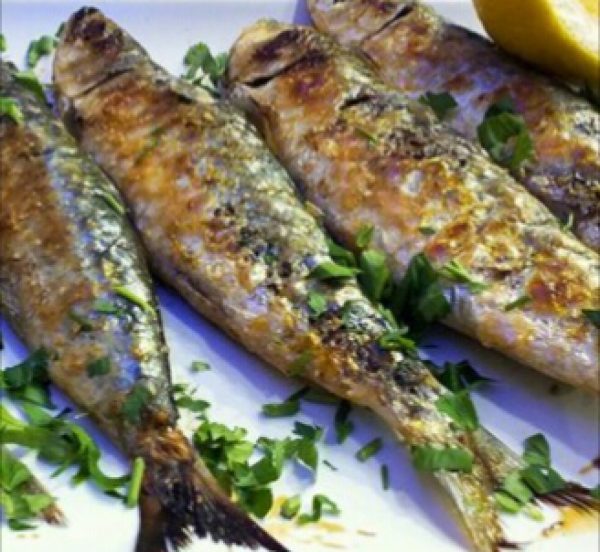 SABORES