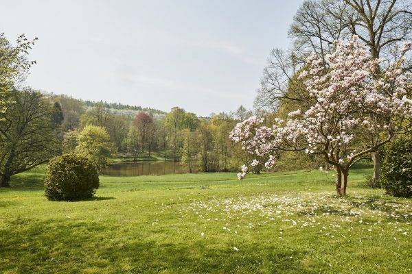 La Vallée Verte im Hotel Hohenhaus