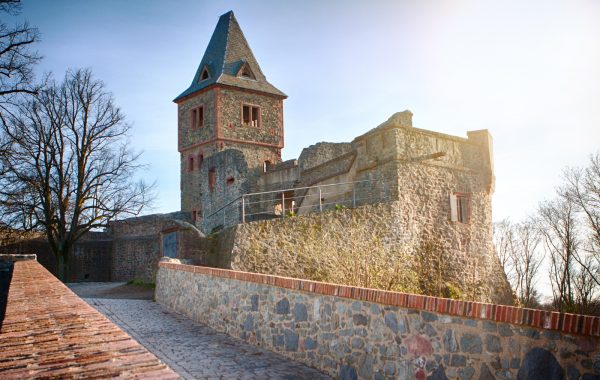 Burg Frankenstein