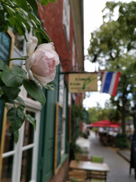 Thai Restaurant LemonGras Potsdam