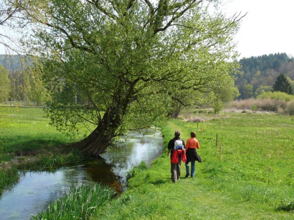 Blick zum Maimont