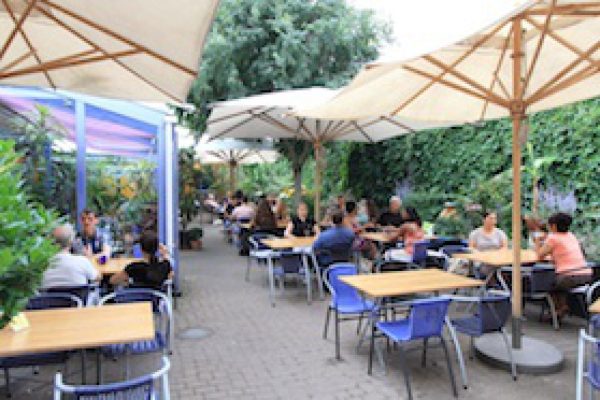 Restaurant Heller´s Vegetarisches Restaurant & Café in  Mannheim