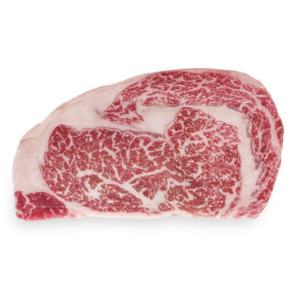 Toro Grosso GmbH, Magdeburg