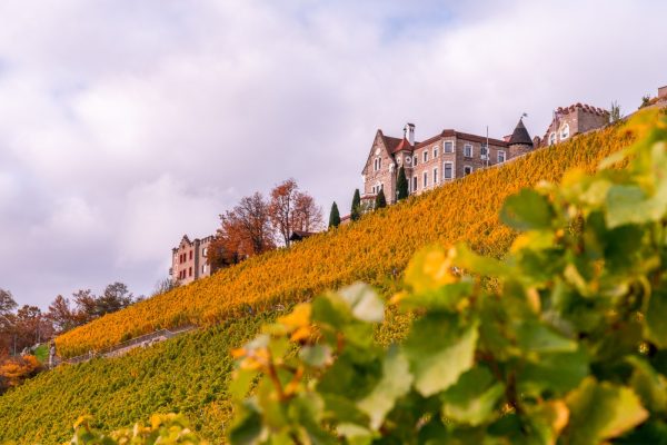 Steinburgs Restaurant