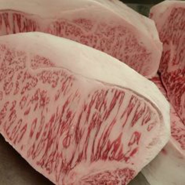 Toro Grosso GmbH, Magdeburg