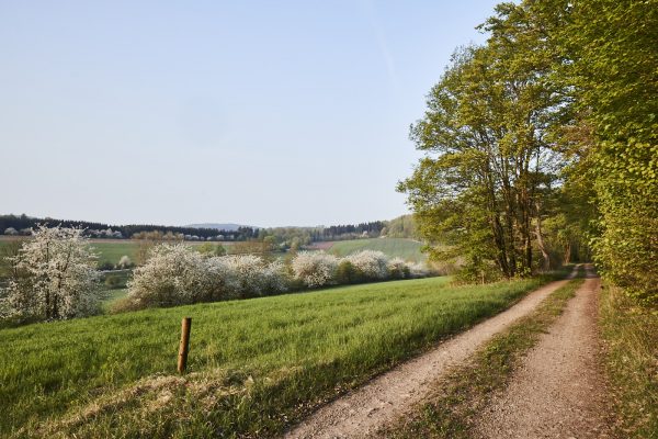 La Vallée Verte im Hotel Hohenhaus