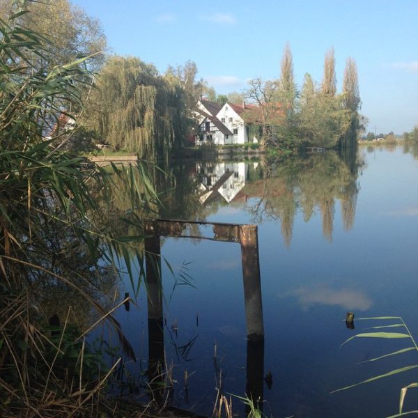Restaurant Gasthaus Fischküche Reck in Möhrendorf