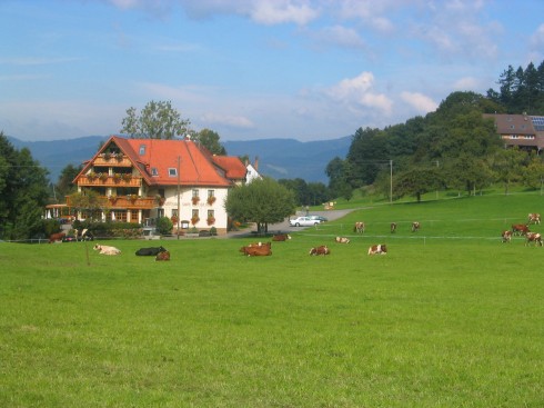 Landgasthof zum Schützen***