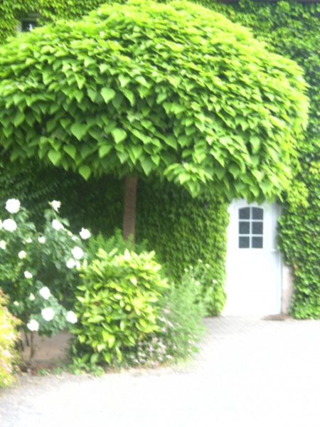 Restaurant Kunz