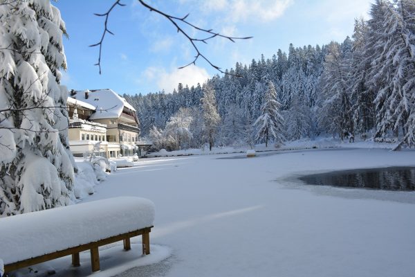 Hotel Langenwaldsee