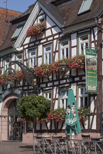 Hotel Restaurant Zum Grünen Baum
