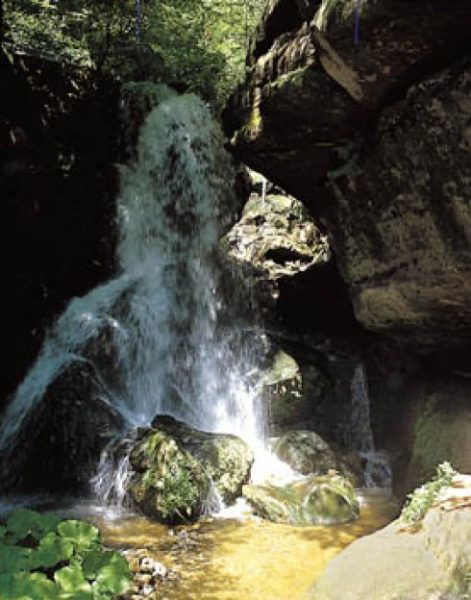 Restaurant Gasthof Lichtenhainer Wasserfall  in Sebnitz/ OT Lichtenhain