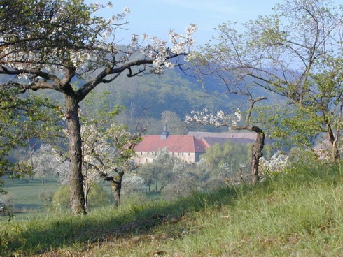 Cellarius das Restaurant im Kloster Michaelstein