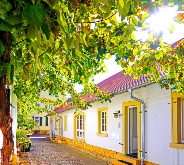 Hotel & Restaurant Annaberg, Bad Dürkheim