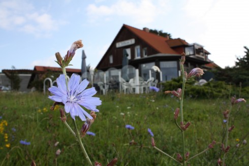Zollhaus